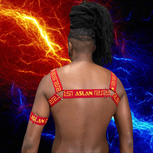 Harness Vermelho Fire - Imagem 5