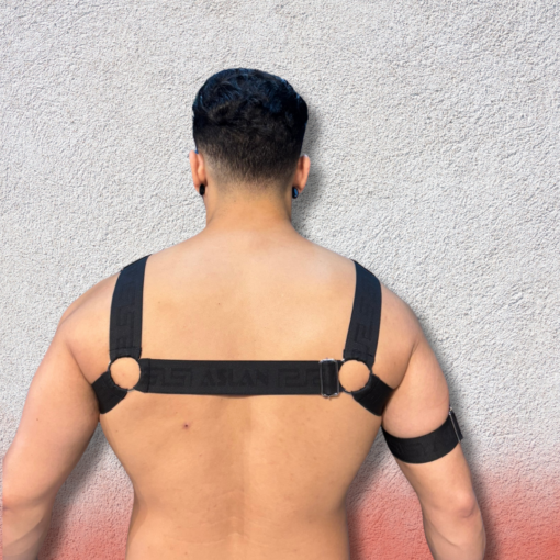 Harness Preto Aslan - Imagem 3
