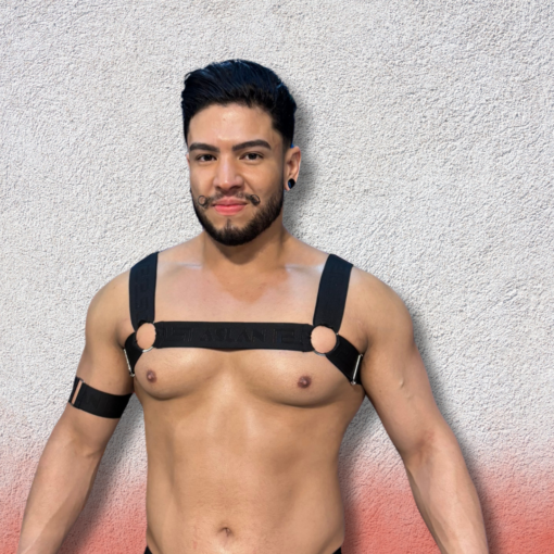 Harness Preto Aslan