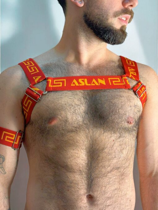 Harness Terracota Fire