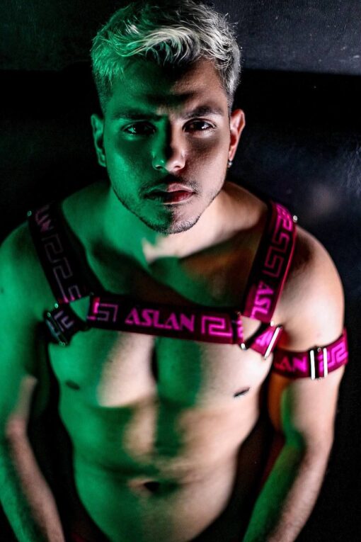 Harness Vinho Fire Pink