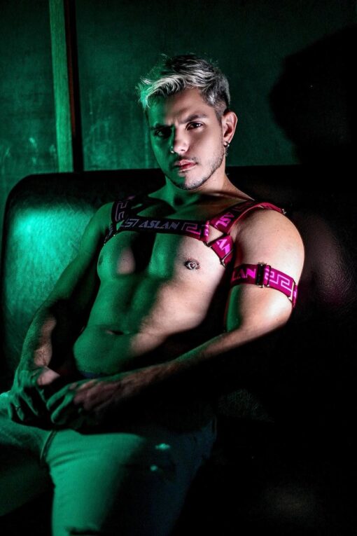 Harness Vinho Fire Pink - Imagem 2