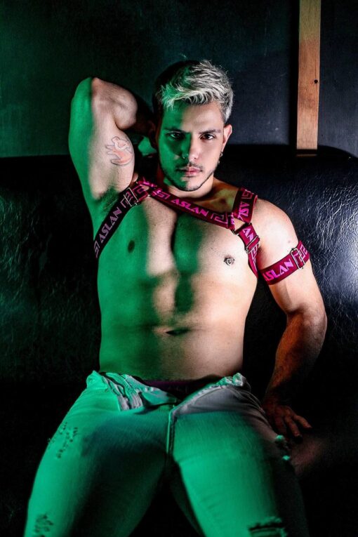 Harness Vinho Fire Pink - Imagem 4