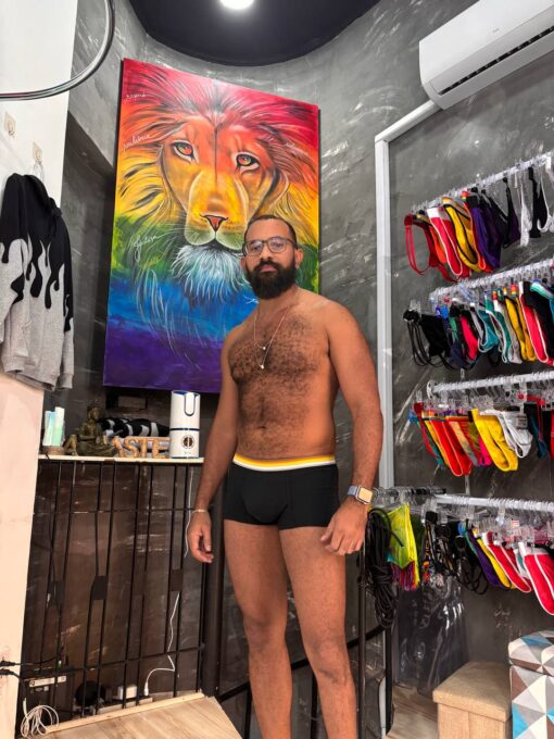 Cueca Box Preta Ursos Bear