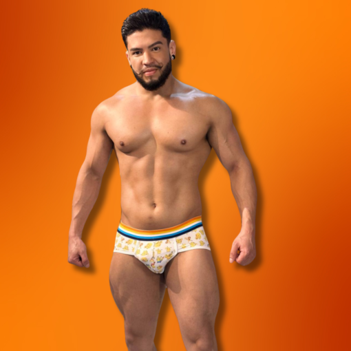 CUECA SLIP PIKACHU AROACE