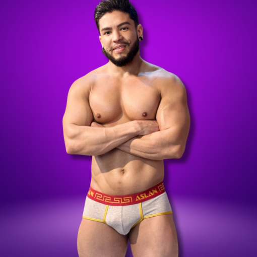CUECA SLIP CINZA ALGODÃO LINE OURO