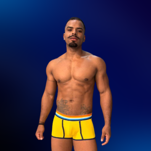 Cueca Boxer Amarela Dryfit line Azul
