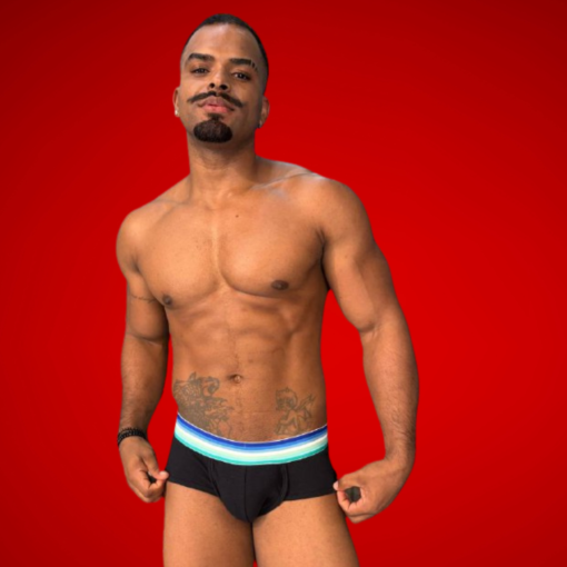 Cueca Preta Anemo Algodão