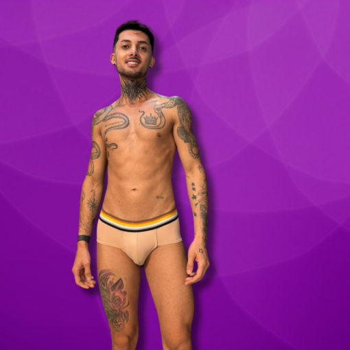 Cueca Bege Bear
