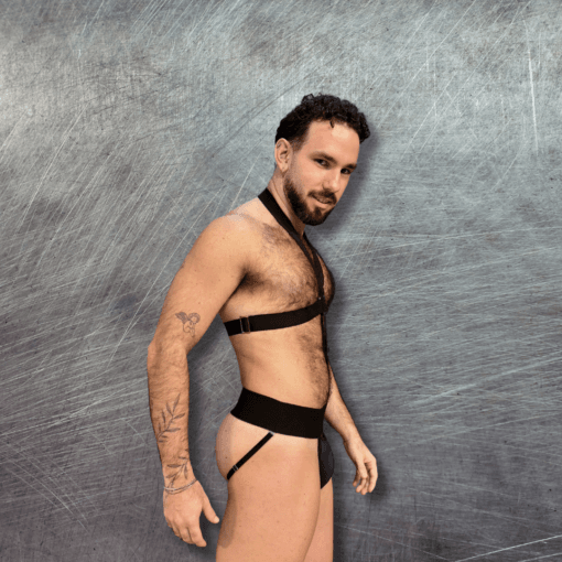 Harness Dio – O Poder da Sedução em Cada Detalhe 🔥 - Imagem 4