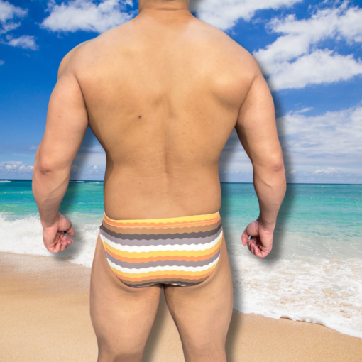 Sunga Slim Bear - Imagem 2