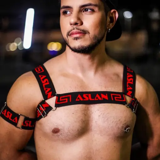 Harness Preto e Vermelho Aslan