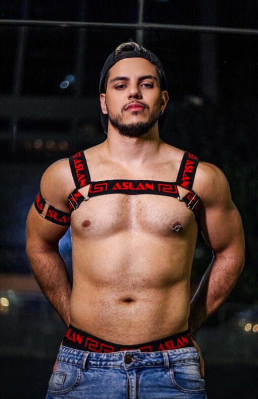 Harness Preto e Vermelho Aslan - Imagem 4