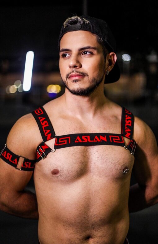 Harness Preto e Vermelho Aslan - Imagem 2