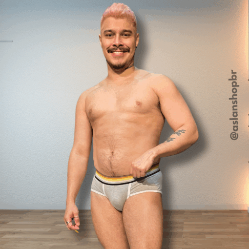 Cueca Cinza line Branco Bear