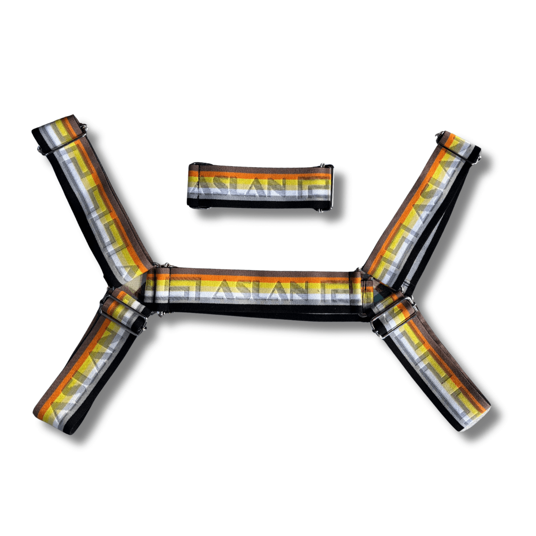 Harness Ursos Aslan