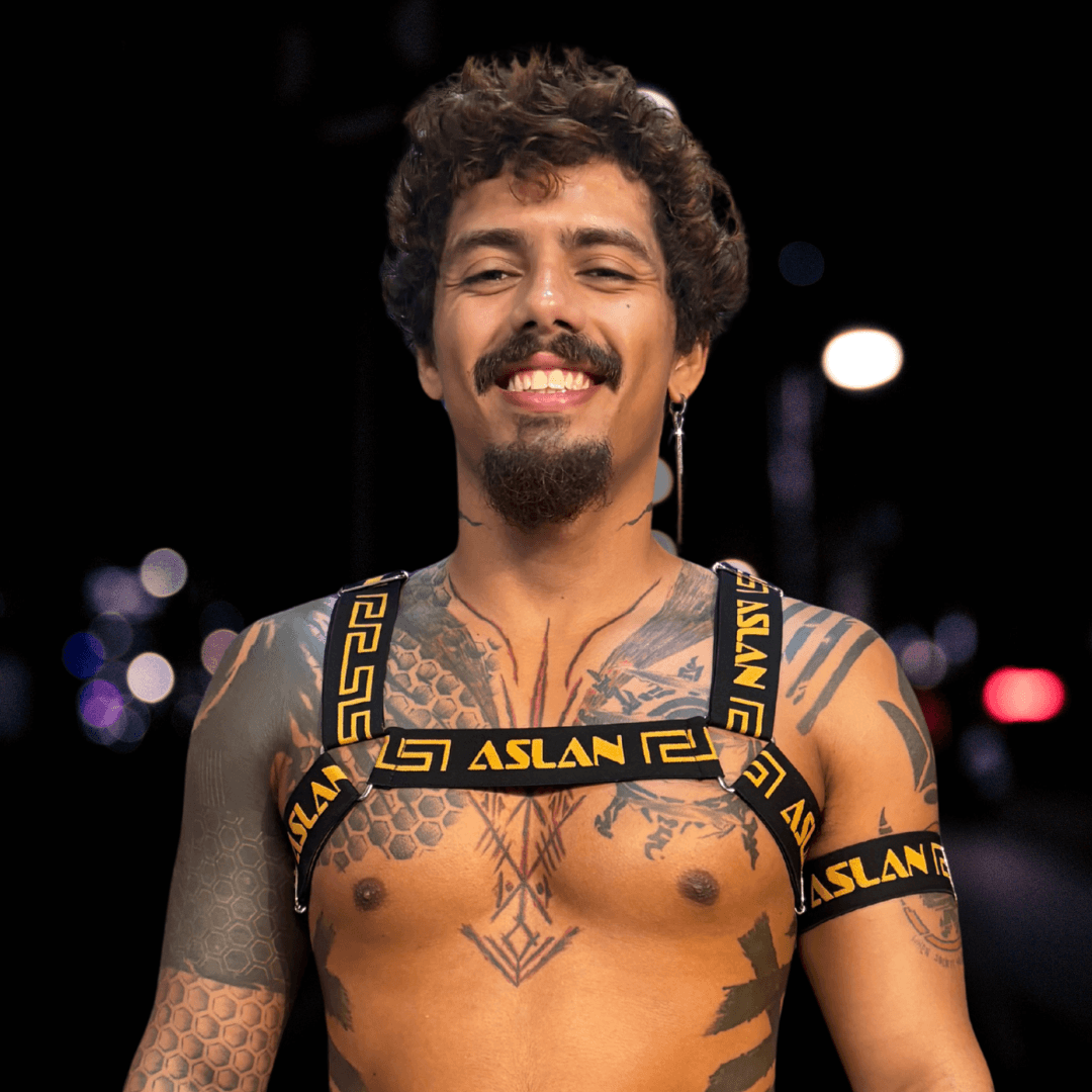 Harness Petro e Dourado em X