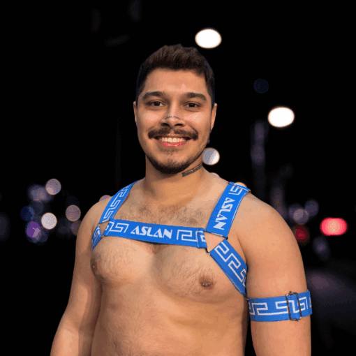 Harness Areia em X (cópia)