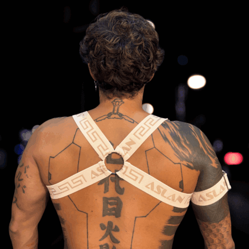 Harness Areia em X - Imagem 3