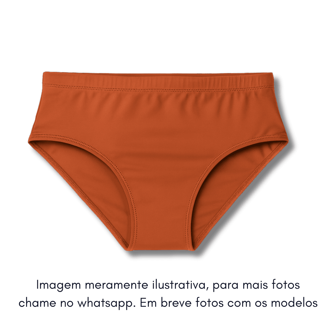 Sunga Terracota Aslan