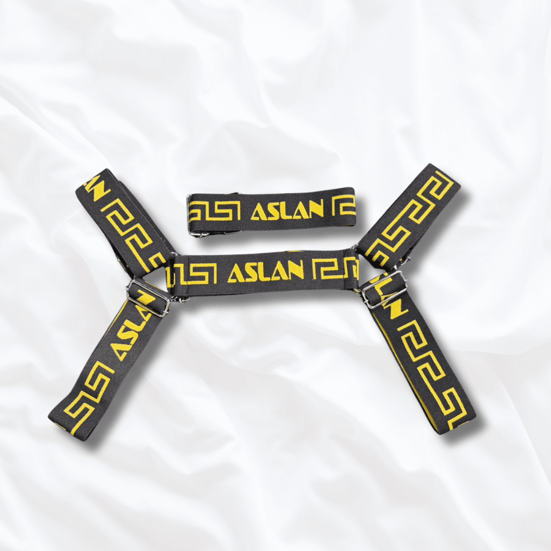 Harness Preto e Dourado