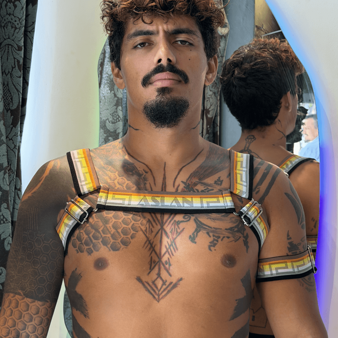 Harness Ursos