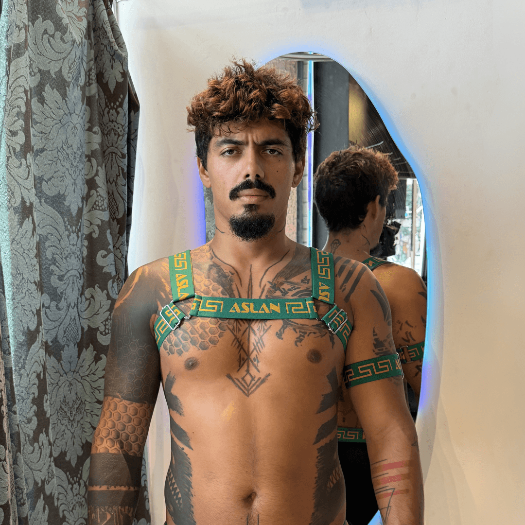 Harness Brasil