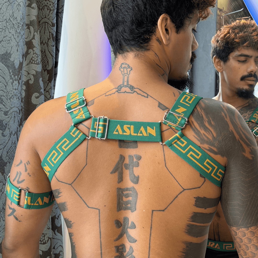Harness Brasil - Imagem 3