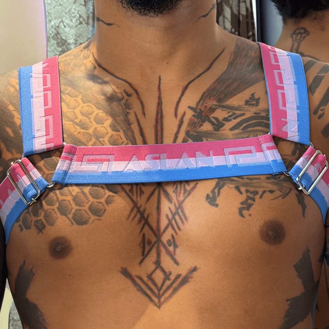 Harness Bandeira Bi