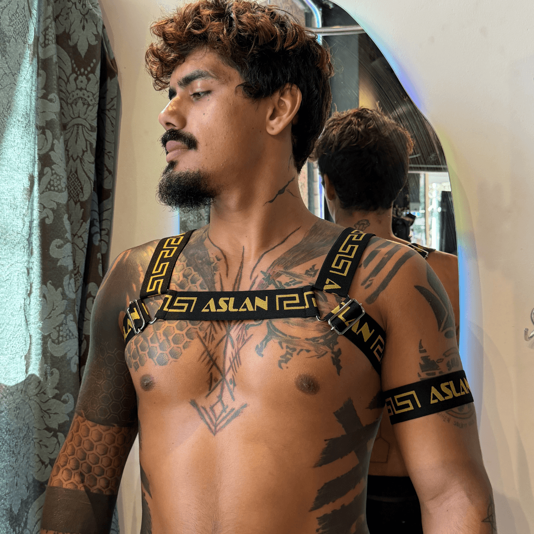 Harness Preto e Dourado