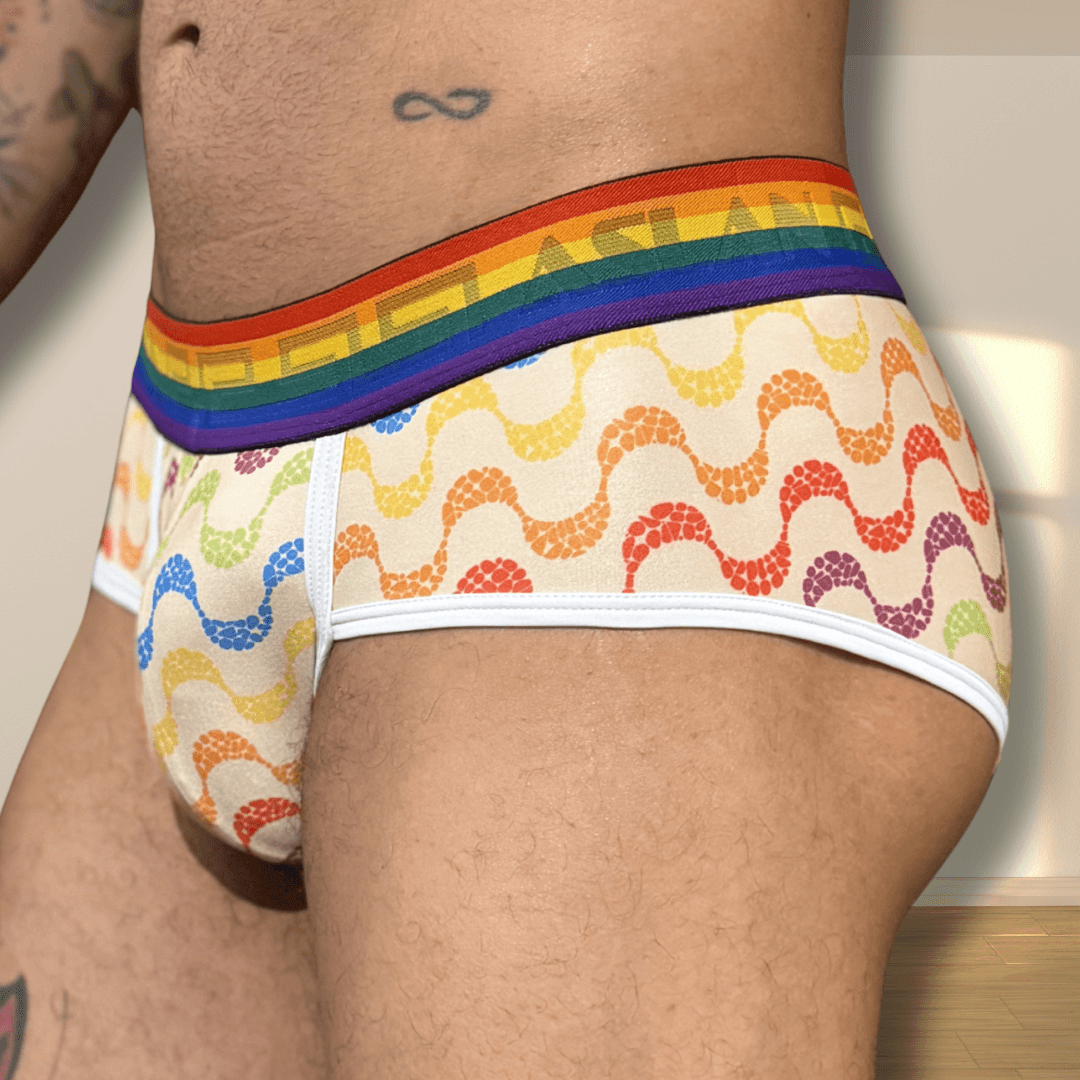 Cueca Estampada Pride Aslan