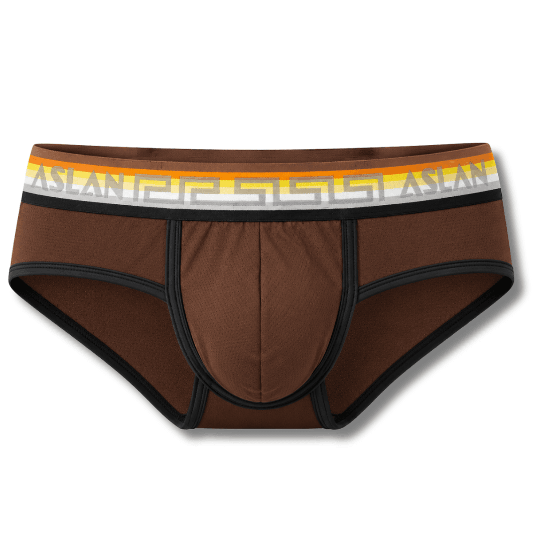 Cueca Marron line Preto Ursos