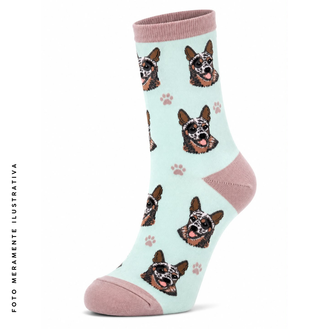 Meia Dog 33-39